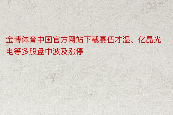 金博体育中国官方网站下载赛伍才湿、亿晶光电等多股盘中波及涨停